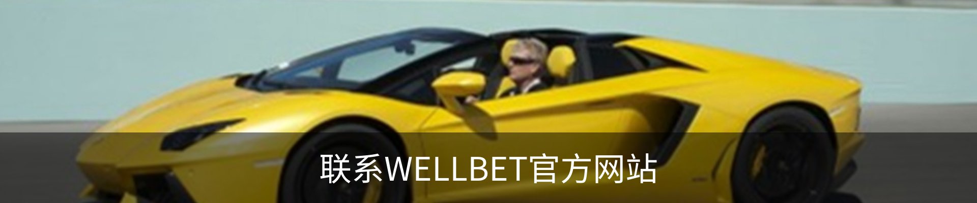 联系WELLBET官方网站